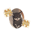 パンダと犬の面白スタンプ（個別スタンプ：8）