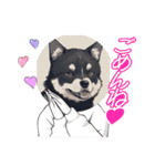 パンダと犬の面白スタンプ（個別スタンプ：14）