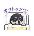 パンダと犬の面白スタンプ（個別スタンプ：15）