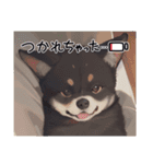 パンダと犬の面白スタンプ（個別スタンプ：21）