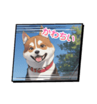 パンダと犬の面白スタンプ（個別スタンプ：29）