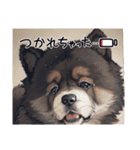 パンダと犬の面白スタンプ（個別スタンプ：31）