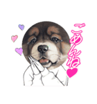 パンダと犬の面白スタンプ（個別スタンプ：32）
