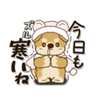 柴犬・茶色い犬さん 2024『冬・思いやり』（個別スタンプ：2）