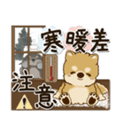 柴犬・茶色い犬さん 2024『冬・思いやり』（個別スタンプ：12）