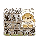 柴犬・茶色い犬さん 2024『冬・思いやり』（個別スタンプ：13）