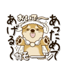 柴犬・茶色い犬さん 2024『冬・思いやり』（個別スタンプ：25）