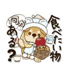 柴犬・茶色い犬さん 2024『冬・思いやり』（個別スタンプ：30）