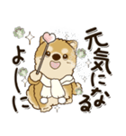 柴犬・茶色い犬さん 2024『冬・思いやり』（個別スタンプ：33）