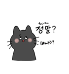 3匹のねこと韓国語（個別スタンプ：11）