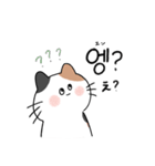 3匹のねこと韓国語（個別スタンプ：13）