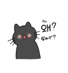 3匹のねこと韓国語（個別スタンプ：14）