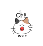 3匹のねこと韓国語（個別スタンプ：18）