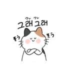 3匹のねこと韓国語（個別スタンプ：25）