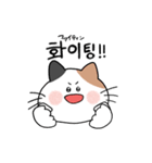 3匹のねこと韓国語（個別スタンプ：35）