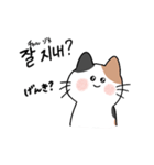 3匹のねこと韓国語（個別スタンプ：38）