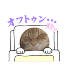 メンポンあいさつスタンプ♡（個別スタンプ：27）