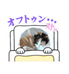 メンポンあいさつスタンプ♡（個別スタンプ：28）