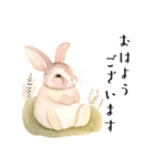 【敬語】可愛いうさちゃん Vo.1（個別スタンプ：2）