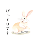 【敬語】可愛いうさちゃん Vo.1（個別スタンプ：4）