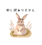 【敬語】可愛いうさちゃん Vo.1（個別スタンプ：6）