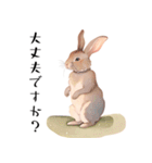 【敬語】可愛いうさちゃん Vo.1（個別スタンプ：8）