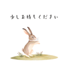 【敬語】可愛いうさちゃん Vo.1（個別スタンプ：10）