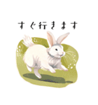 【敬語】可愛いうさちゃん Vo.1（個別スタンプ：12）