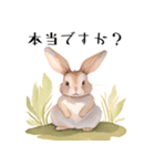 【敬語】可愛いうさちゃん Vo.1（個別スタンプ：13）