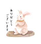 【敬語】可愛いうさちゃん Vo.1（個別スタンプ：14）