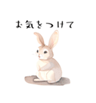 【敬語】可愛いうさちゃん Vo.1（個別スタンプ：18）