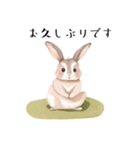 【敬語】可愛いうさちゃん Vo.1（個別スタンプ：22）