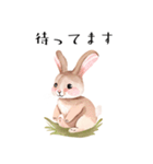 【敬語】可愛いうさちゃん Vo.1（個別スタンプ：24）