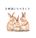 【敬語】可愛いうさちゃん Vo.1（個別スタンプ：32）