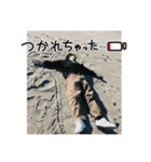 ⭐︎翔理の日常で使えるスタンプ⭐︎（個別スタンプ：1）
