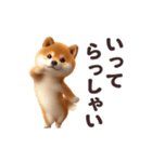 踊る！柴犬わんだふる2（個別スタンプ：14）