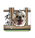 とうふ時々オクラ（個別スタンプ：2）