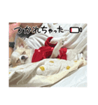 とうふ時々オクラ（個別スタンプ：3）