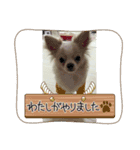 とうふ時々オクラ（個別スタンプ：4）