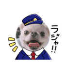 とうふ時々オクラ（個別スタンプ：5）