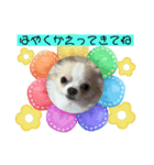 とうふ時々オクラ（個別スタンプ：7）