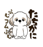 シーズー犬 2024『赤ちゃん言葉で』（個別スタンプ：9）