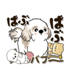 シーズー犬 2024『赤ちゃん言葉で』（個別スタンプ：35）