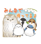 シマエナガシーちゃんと仲間達の年末年始改（個別スタンプ：40）