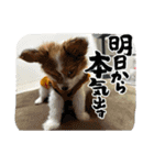 るるたろう集（個別スタンプ：2）