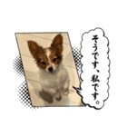 るるたろう集（個別スタンプ：3）