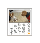 るるたろう集（個別スタンプ：4）