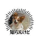 るるたろう集（個別スタンプ：5）