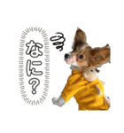 るるたろう集（個別スタンプ：6）