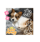 るるたろう集（個別スタンプ：8）